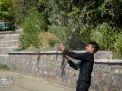 گزارش تصویری  | اردوی فرهنگی و هنری دانشجویان پسر  ورودی جدید